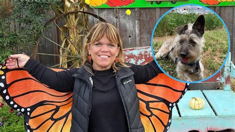 what happened to amy roloff|Amy Roloff Is Not Dead, Despite Sad News Death。